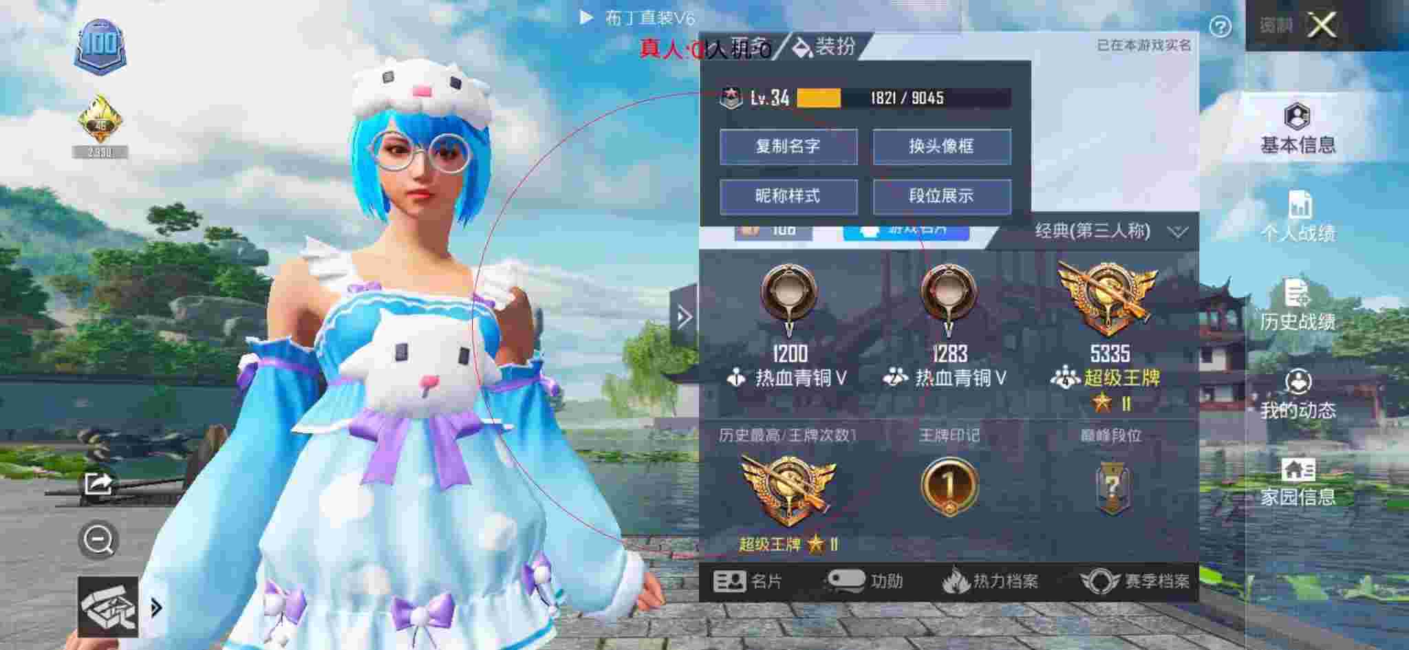 和平精英布丁直装透视 - 和平精英-和平辅助图片手绘辅助预览图